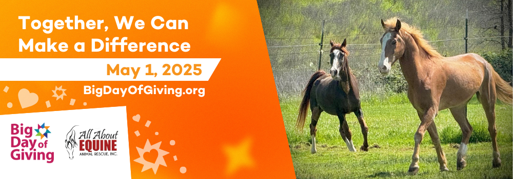 Campaign cover image for Big Day of Giving 2025