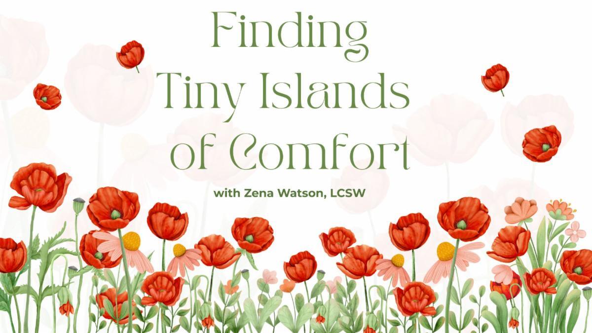 Campaign cover image for Finding Tiny Islands of Comfort