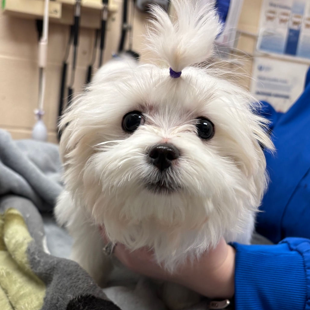 Campaign cover for It’s $5 Friday!