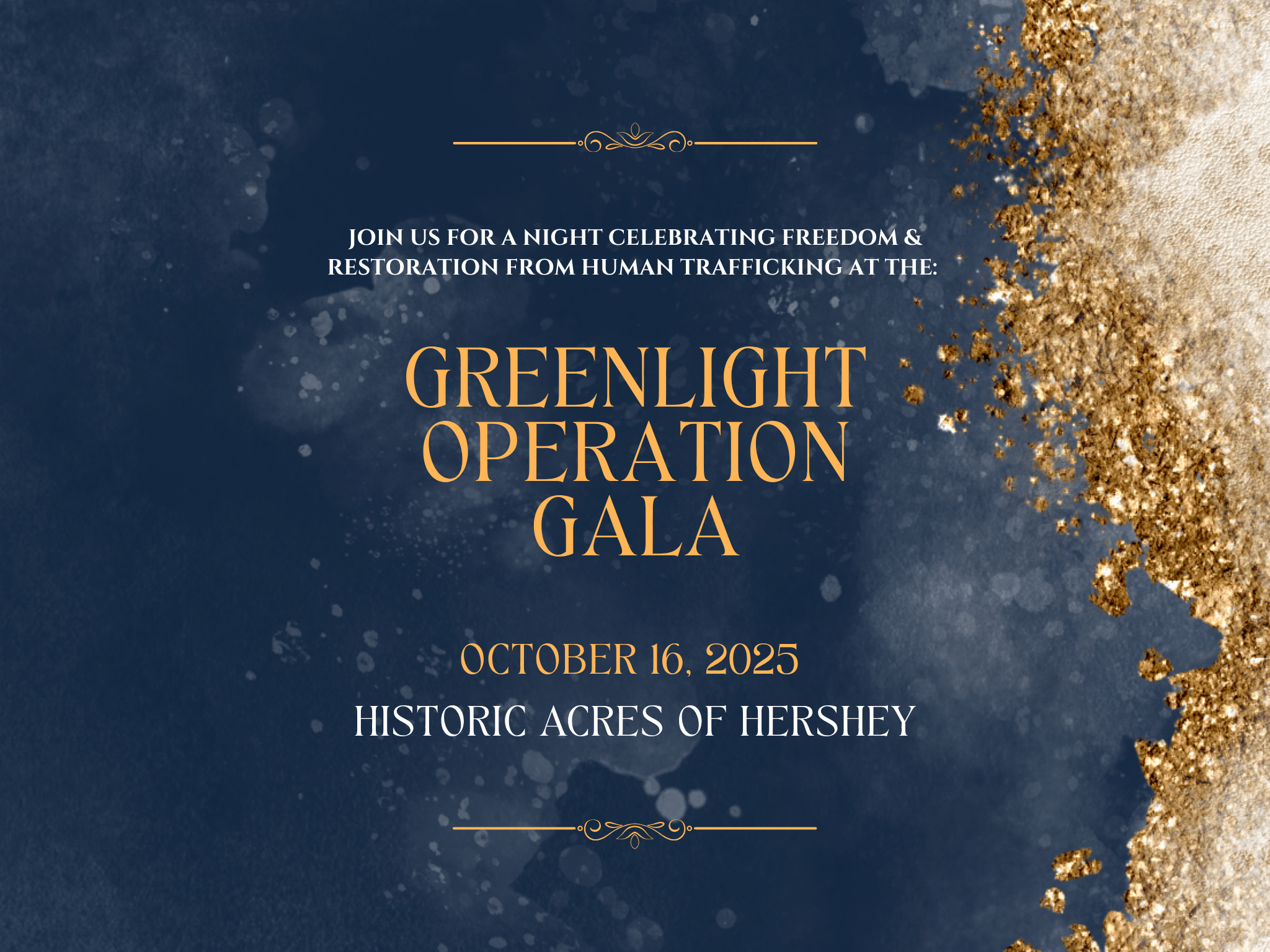 Campaign cover image for 2025 Greenlight Operation Gala