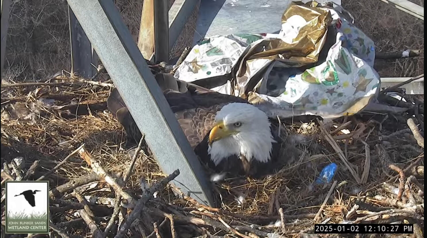 Campaign cover image for 13th Annual Highway Cleanup