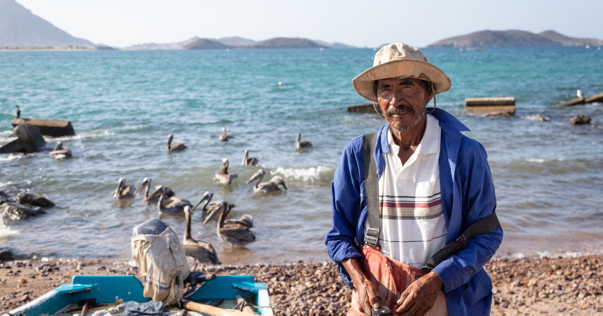 Campaign cover image for Support Our Work