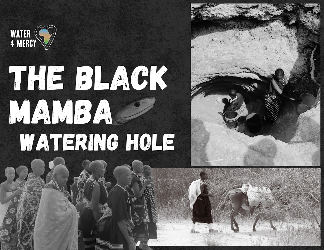 Campaign cover image for Chizaga-Olemelok, The Black Mamba Village