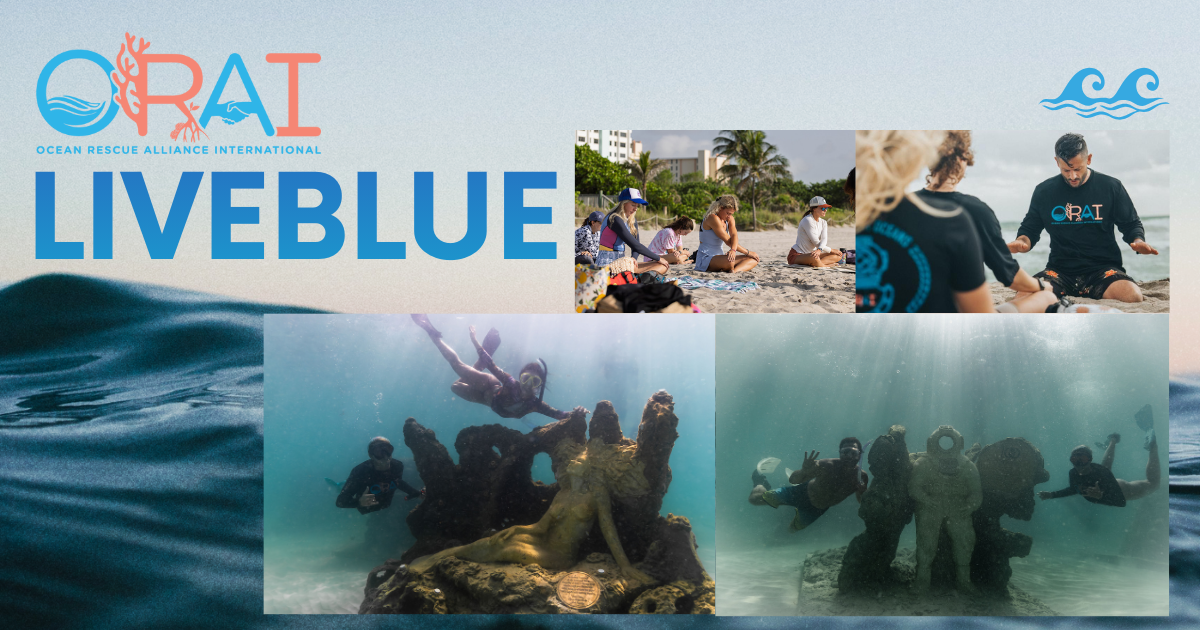 Campaign cover image for ORAI LiveBlue × World Ocean Celebration