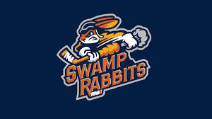 Campaign cover image for Inclusive Ice: A Sensory-Friendly Hockey Experience