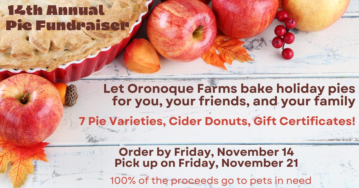 Campaign cover image for 2025 Thanksgiving Pie Fundraiser!