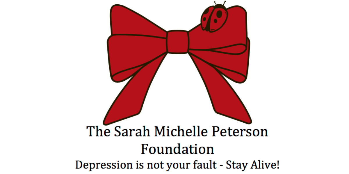 Campaign cover image for Ladybug Flight