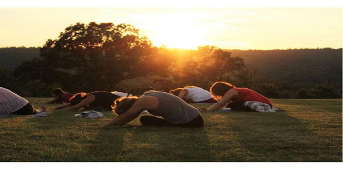 Campaign cover image for Sunset Yoga at the Rescue