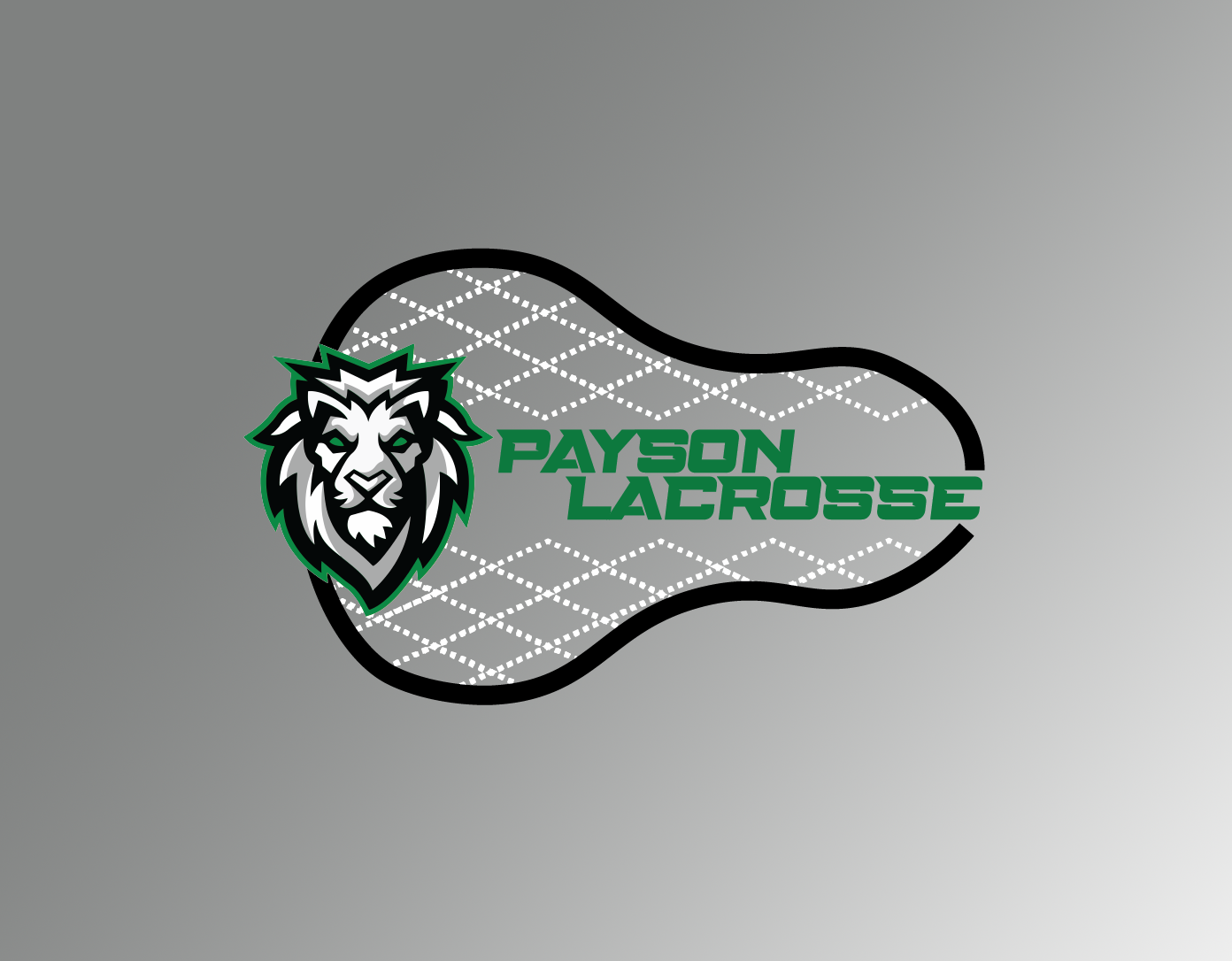 Campaign cover image for Payson Youth Lacrosse