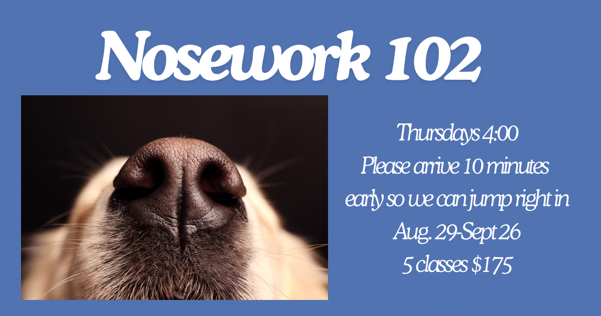 Campaign cover image for Nosework 102