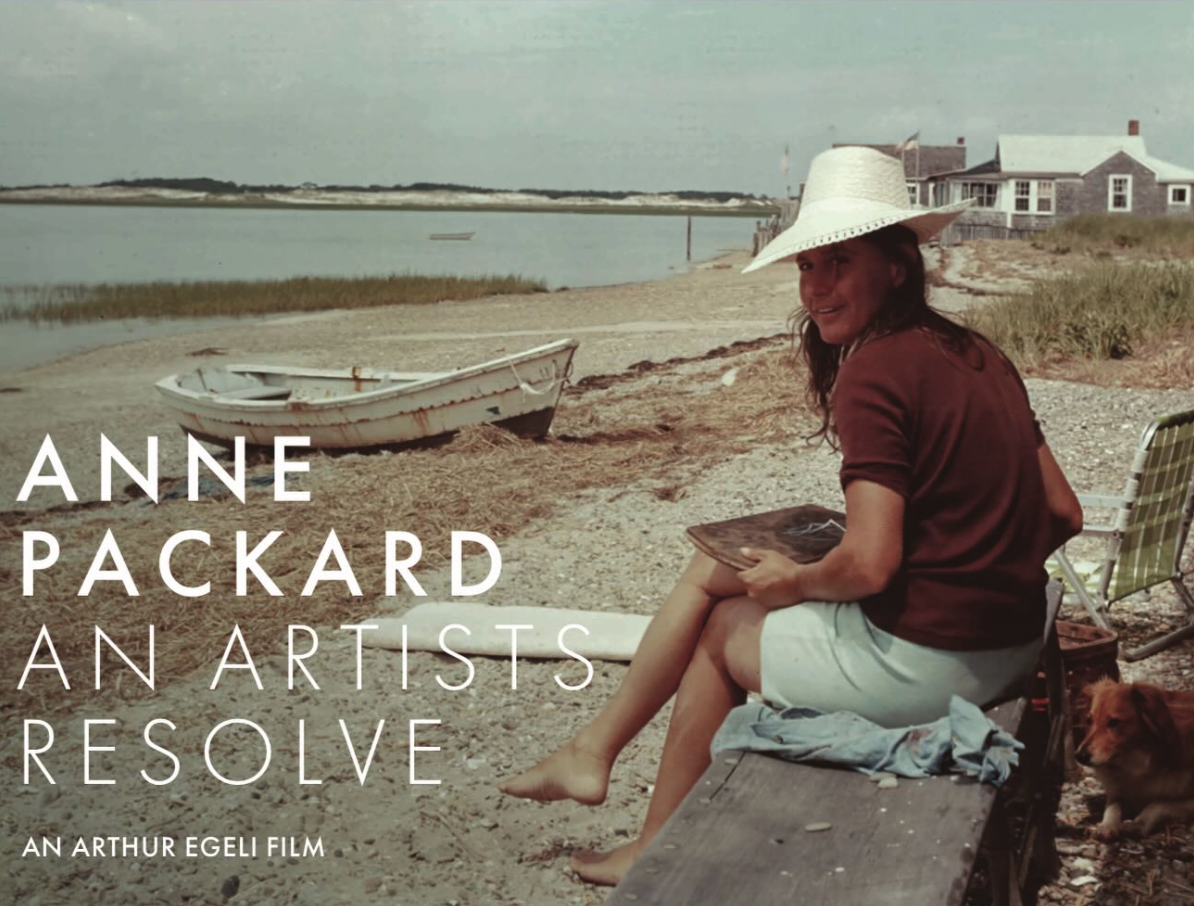 Campaign cover image for Anne Packard: An Artist's Resolve