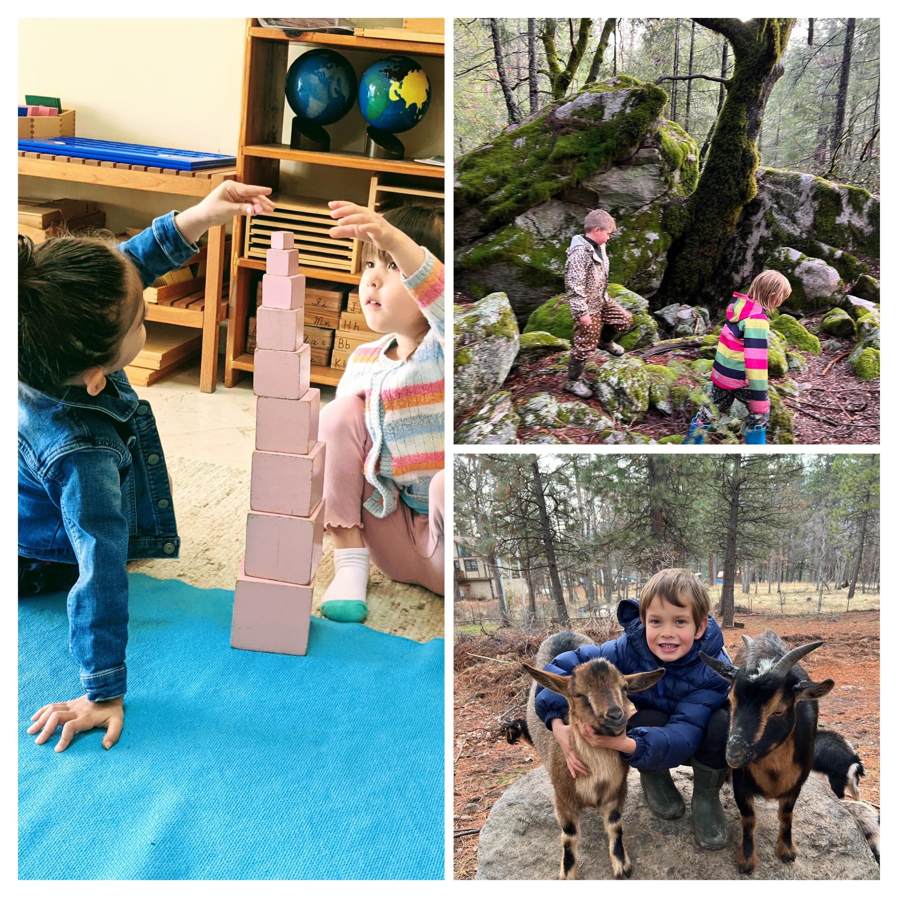 Campaign cover image for Mount Shasta Nature School