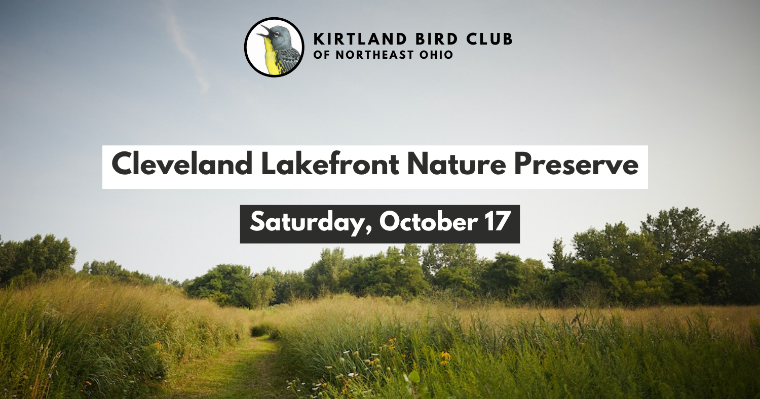 Campaign cover image for Cleveland Lakefront Nature Preserve Field Trip