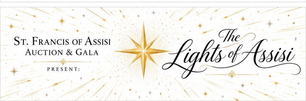 Campaign cover image for The Lights of Assisi