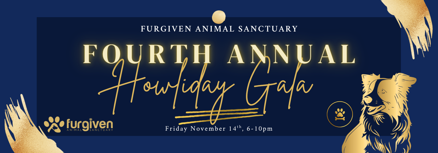 Campaign cover image for 4th Annual Howliday Gala