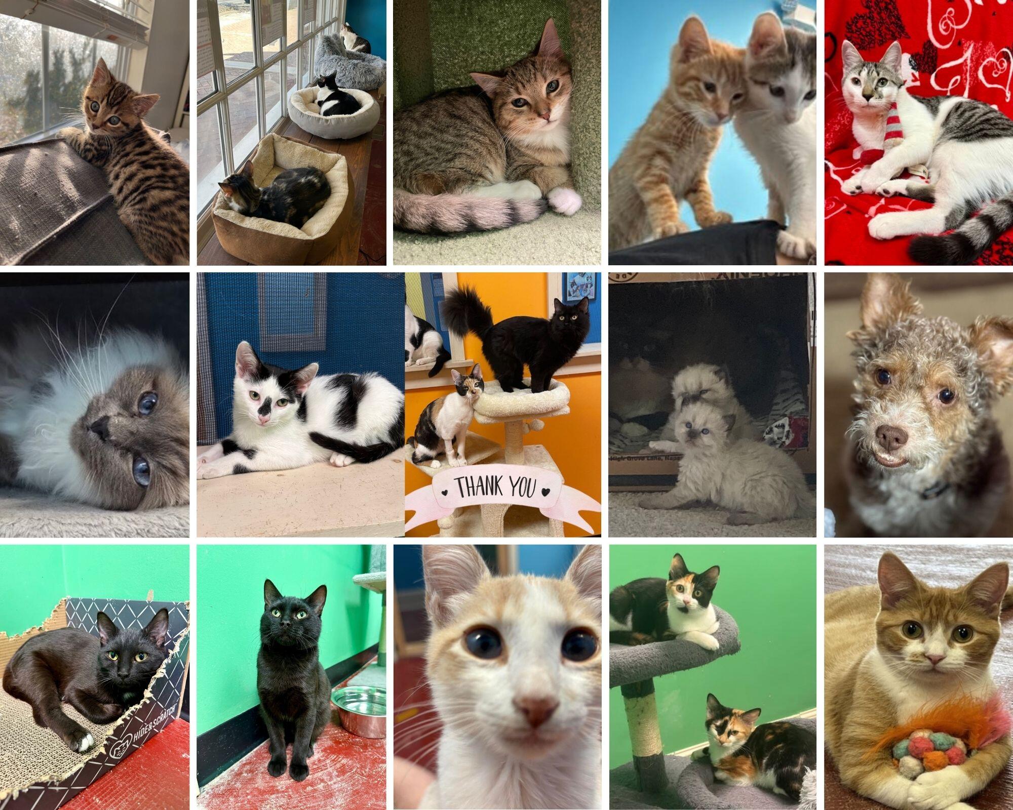 Campaign cover for Just $30 a month