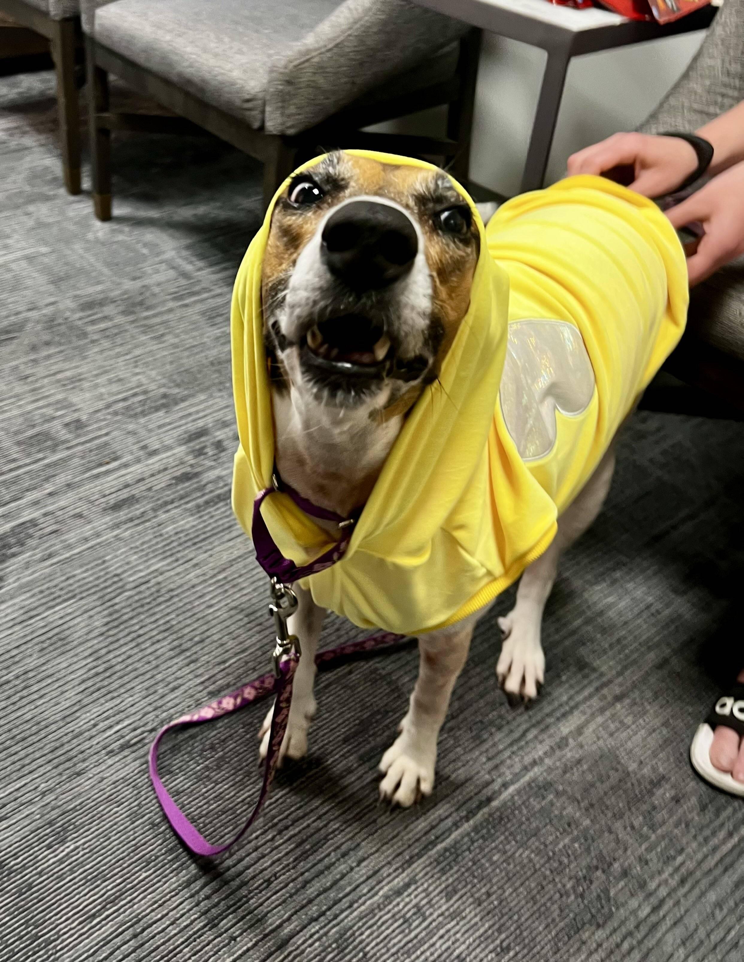 Campaign cover image for Dolly's Chemo Treatment