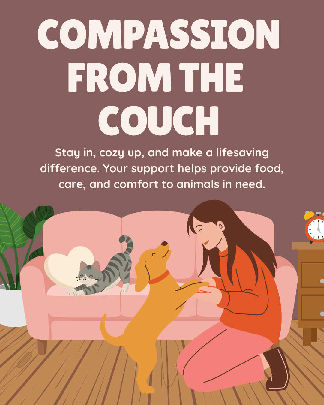 Campaign cover image for Compassion from the Couch