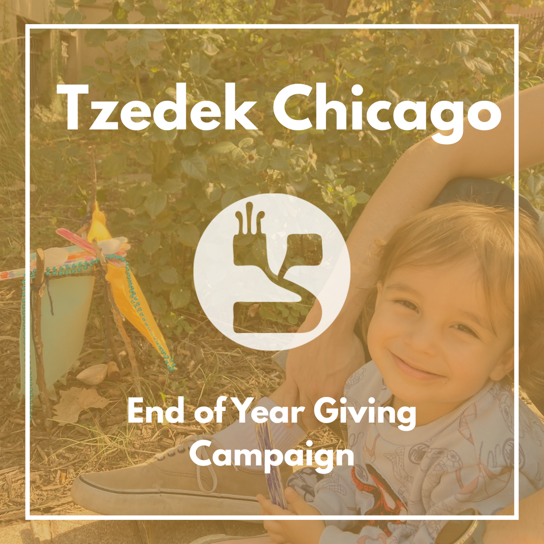Campaign cover for Give to Tzedek Chicago