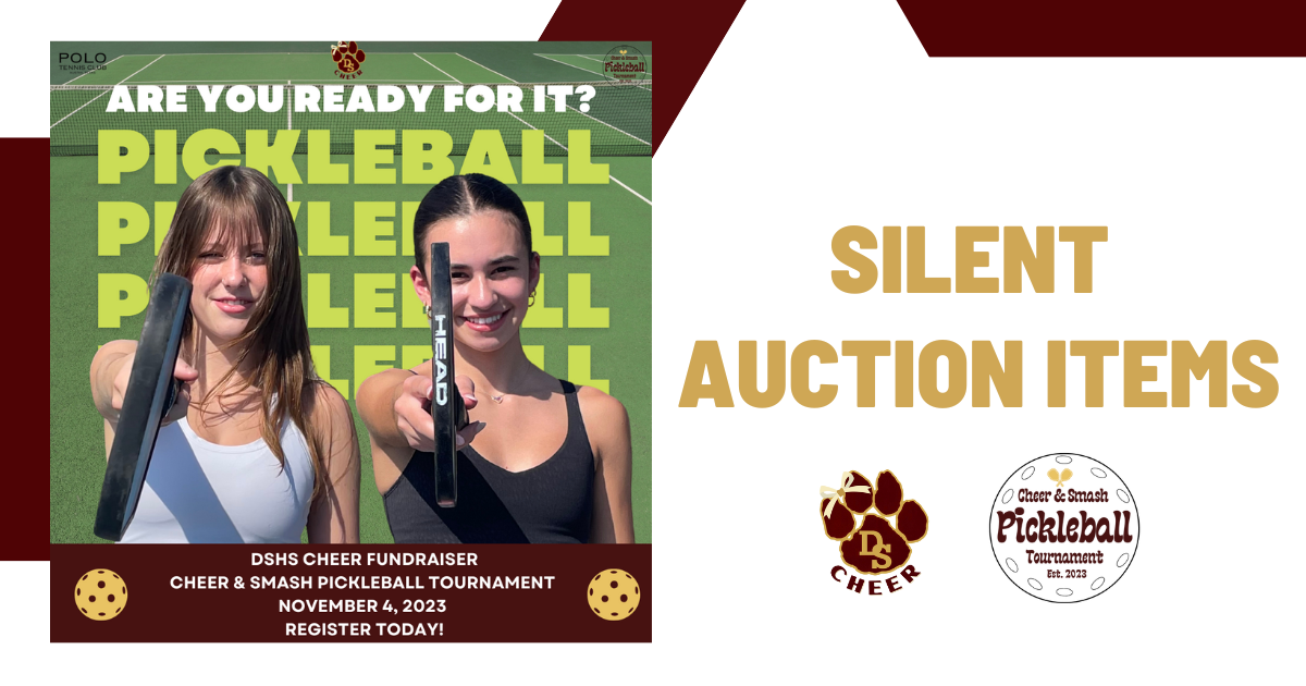 Campaign cover image for DSHS Cheer & Smash Silent Auction