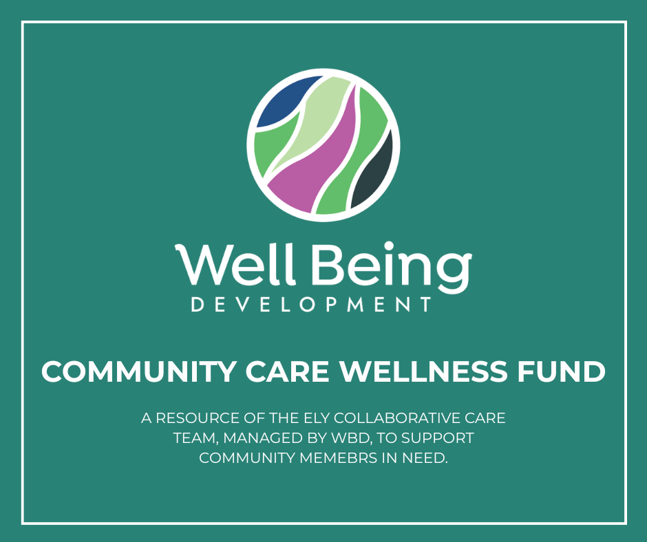 Campaign cover for Wellness Fund
