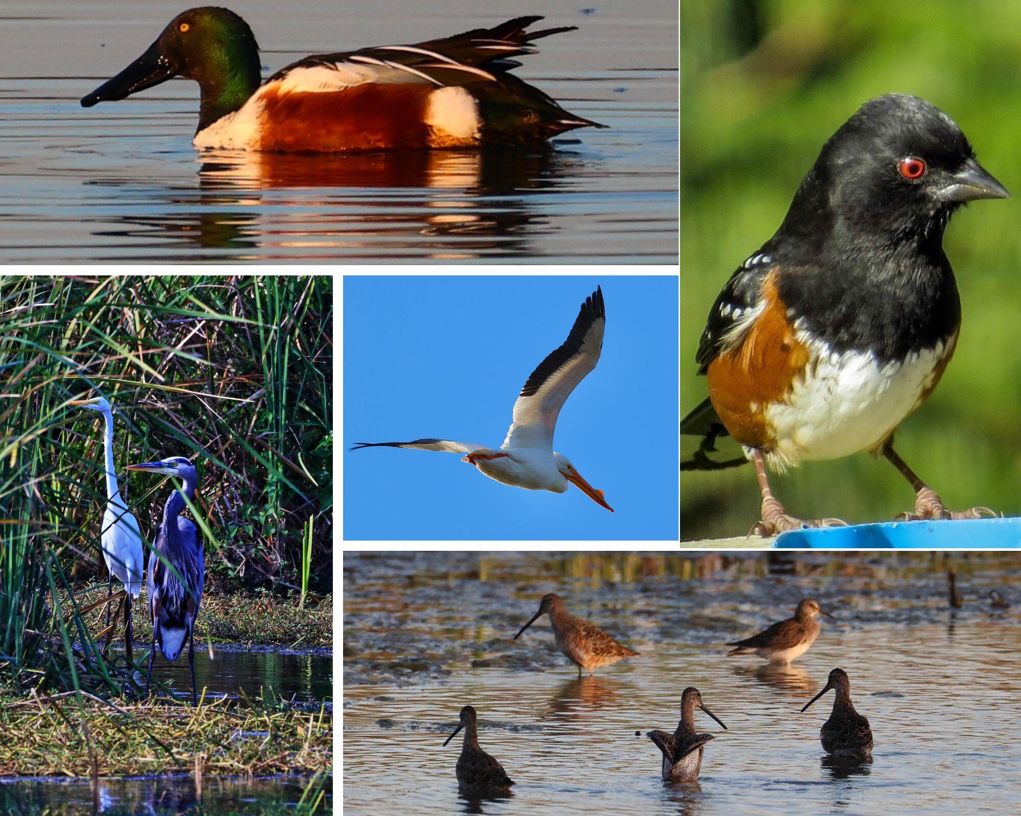 Campaign cover image for Homeschool Outdoors -- We Love a Wild Classroom!