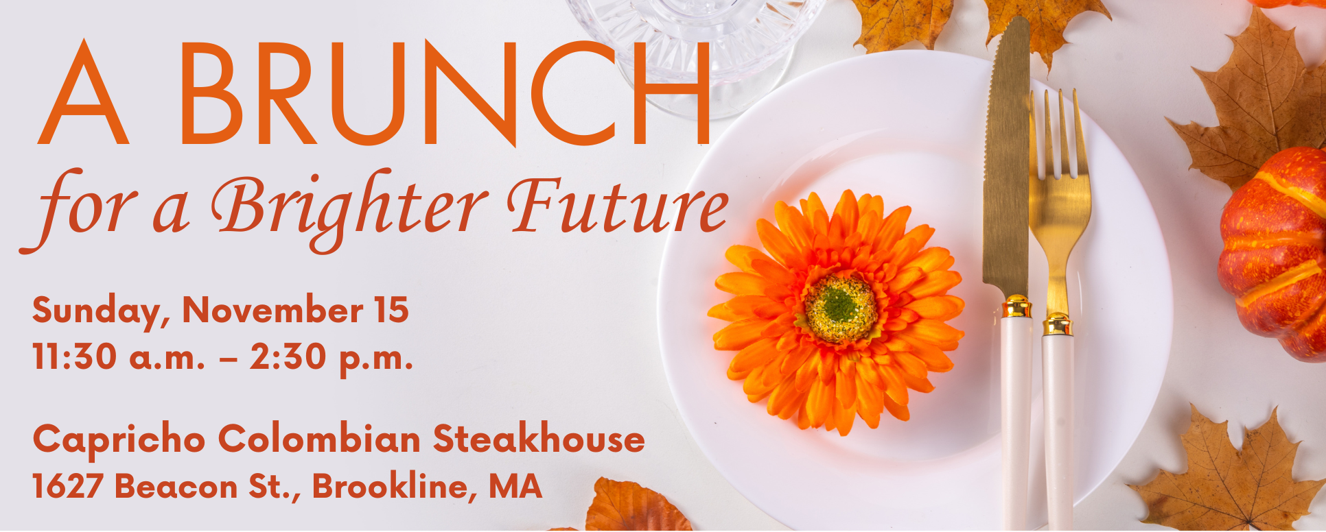 Campaign cover image for Tickets - A Brunch for a Brighter Future