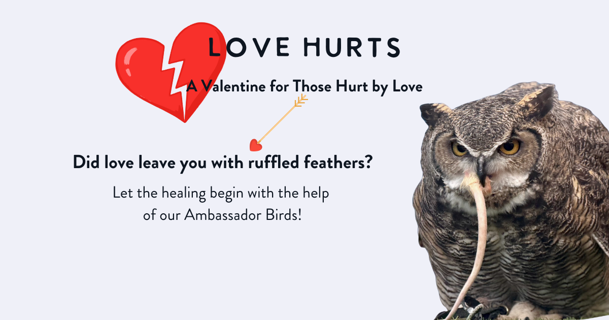 Campaign cover image for Love Hurts 2026