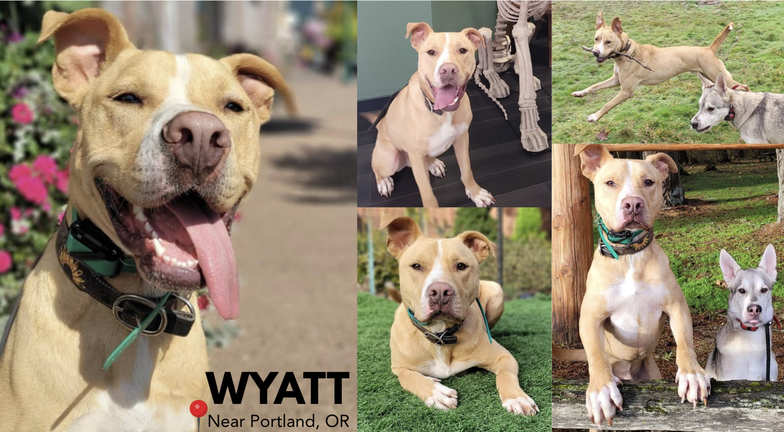 Campaign cover image for SPONSOR ME