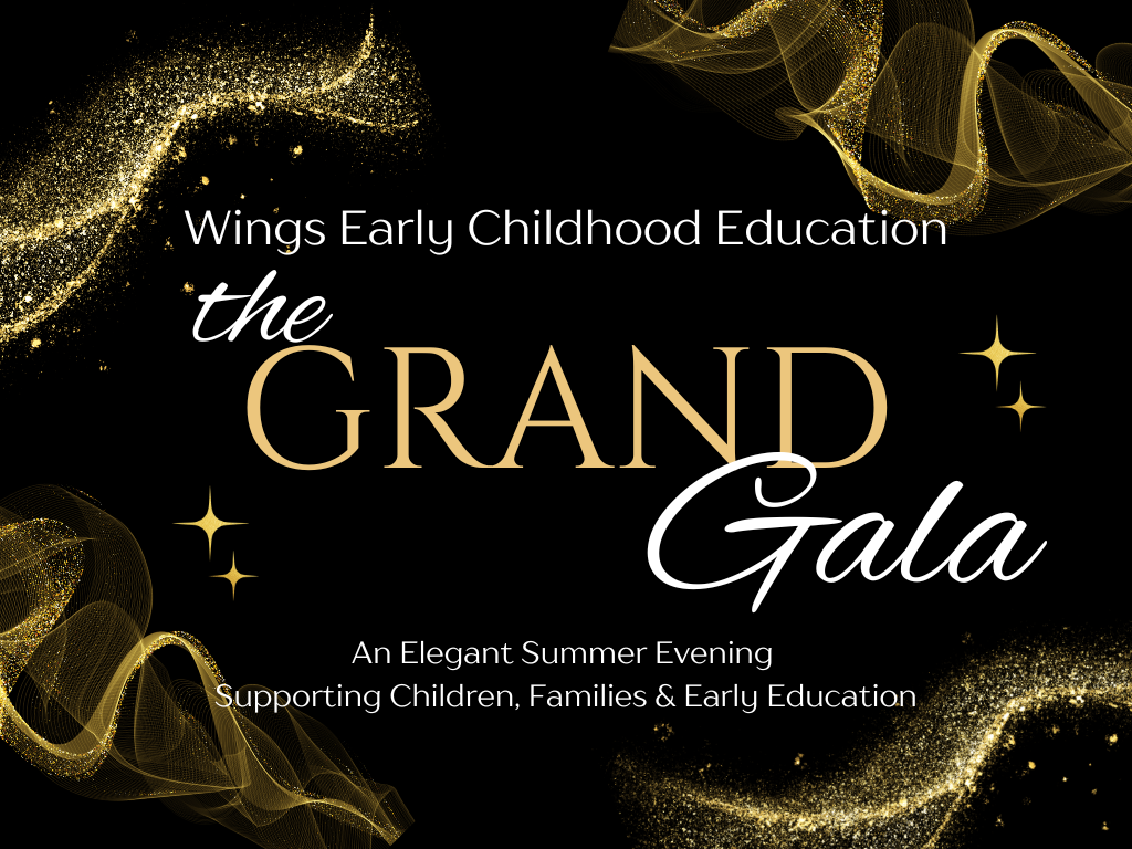 Campaign cover image for The Grand Gala for Wings