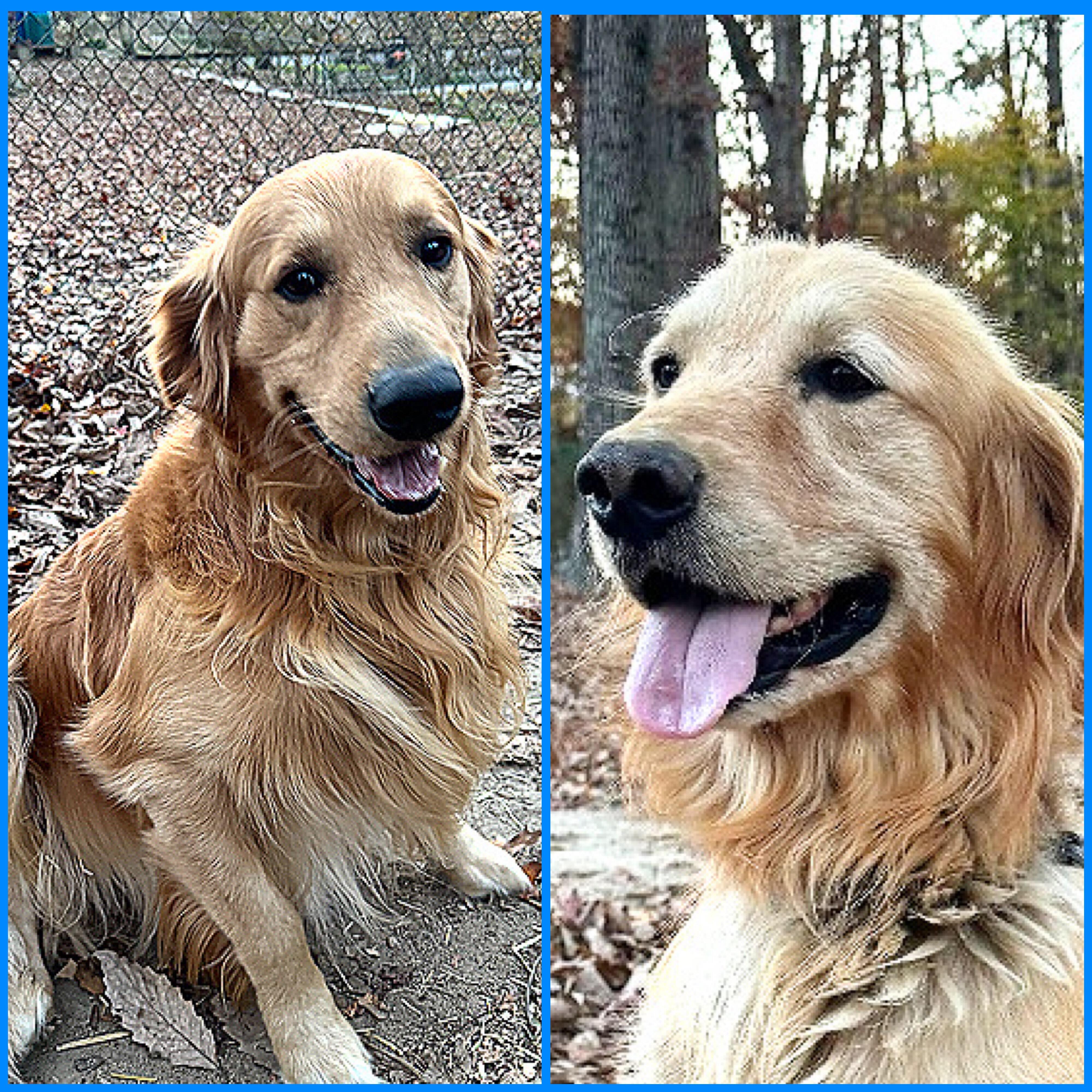 Campaign cover image for Brothers Bentley Chase & Rocky Flynn HW+