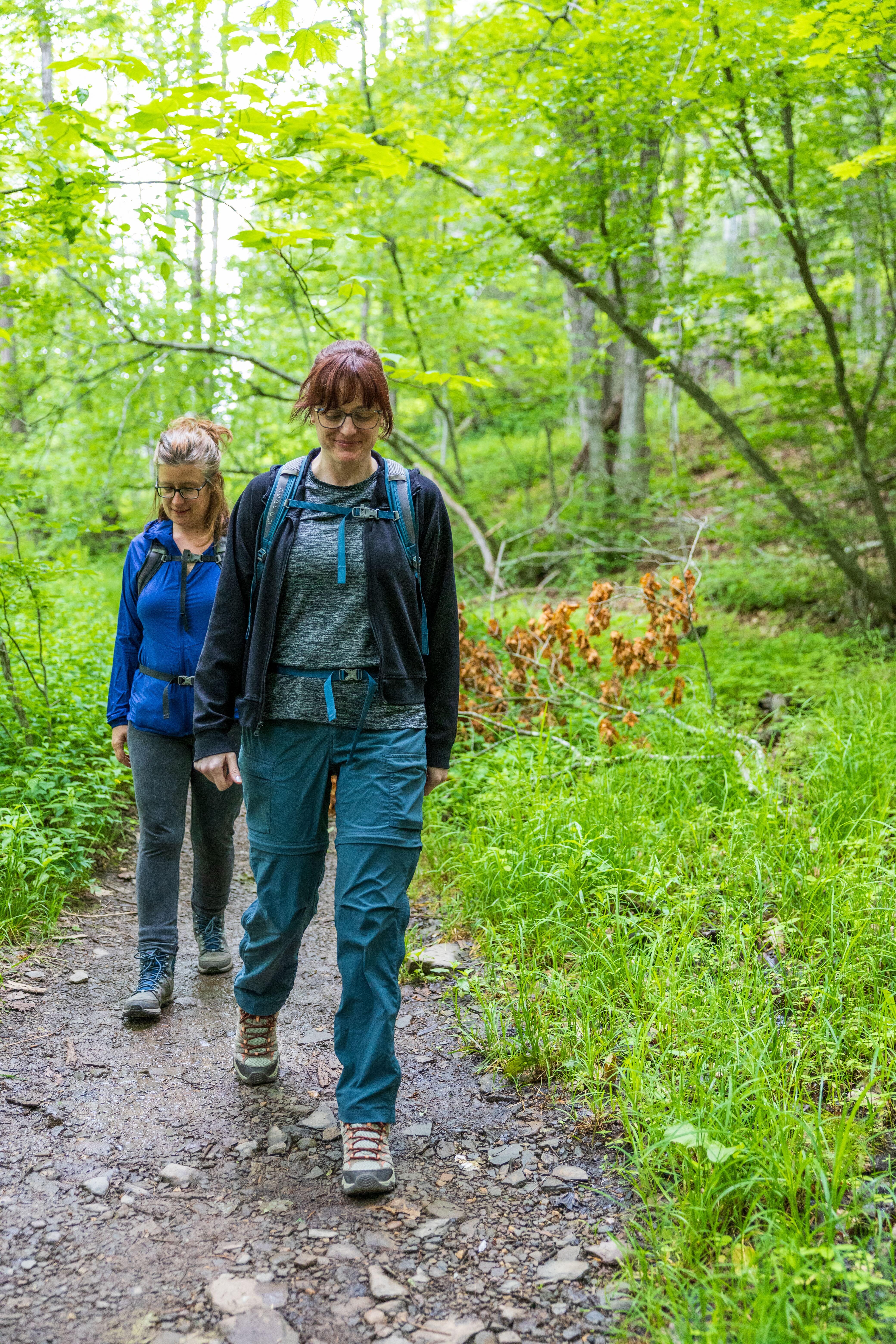 Campaign cover image for Protect the Path Hiking Series: Mt. Tremper Fire Tower