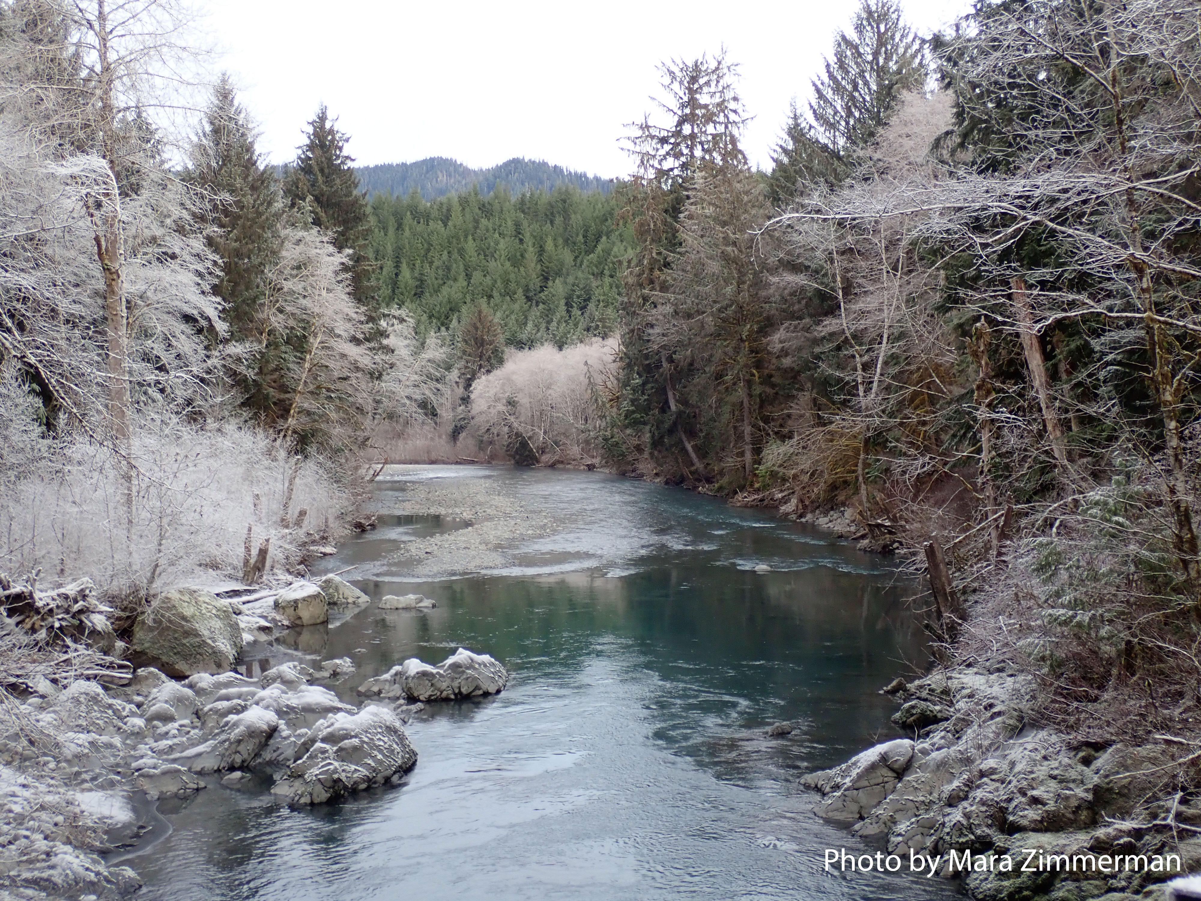 Campaign cover image for 2025 Year-end Giving