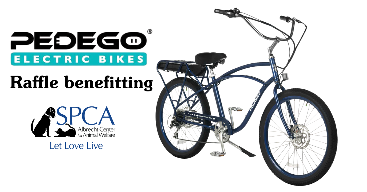 Campaign cover image for SPCA Pedego Bike Fundraiser