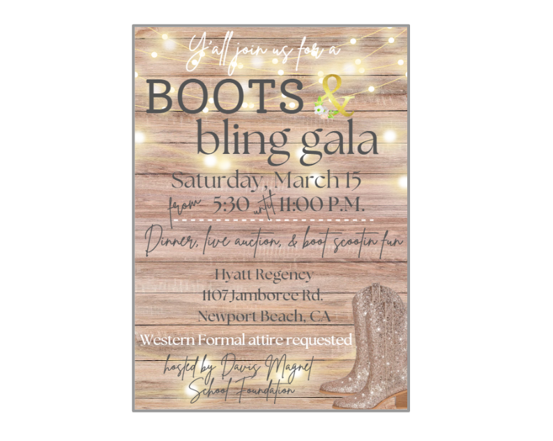 Campaign cover image for Boots & Bling Davis Magnet Foundation Gala 2024-2025