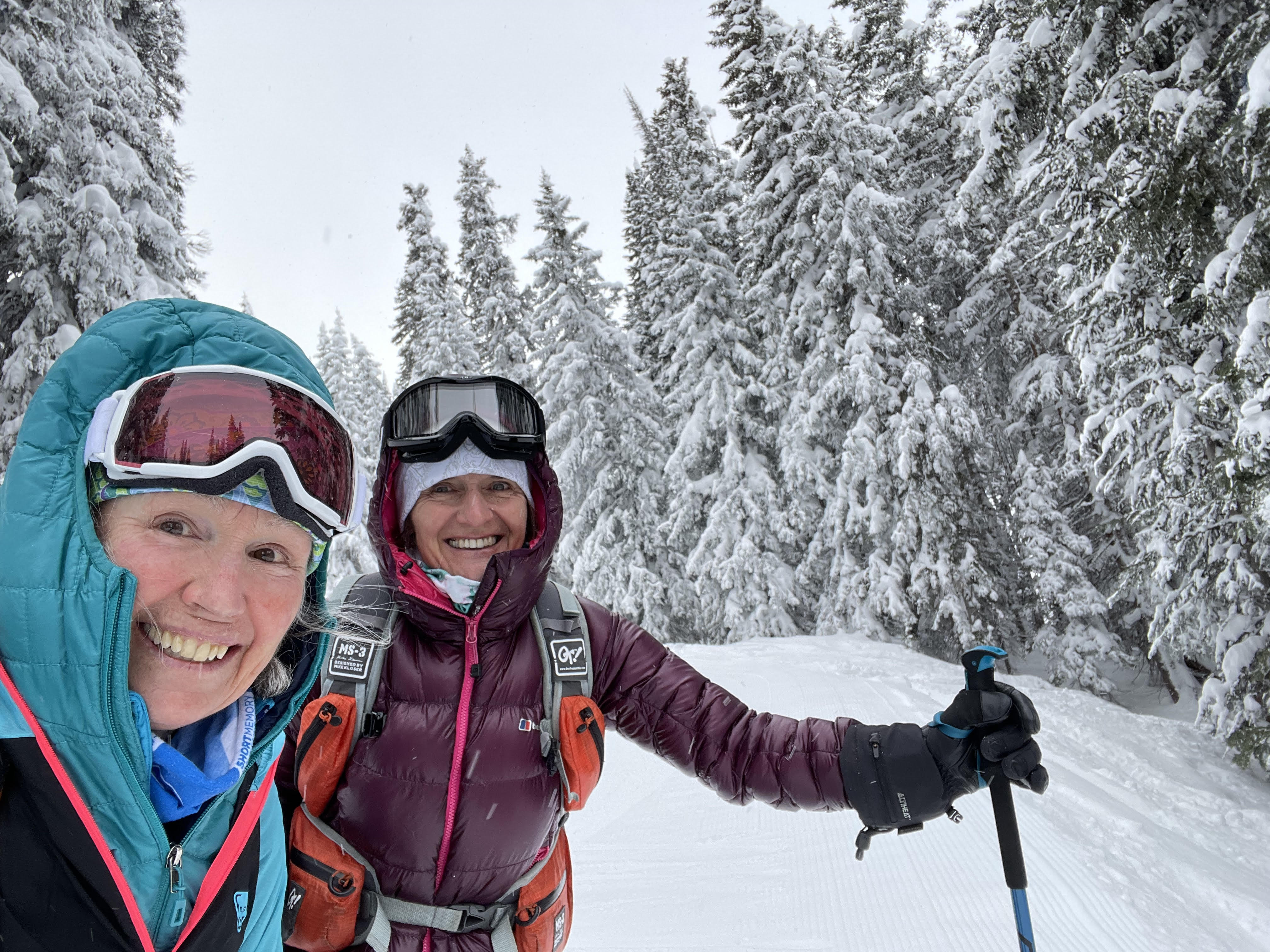 Campaign cover image for Uphill and Alpine Social for Skiers 50+