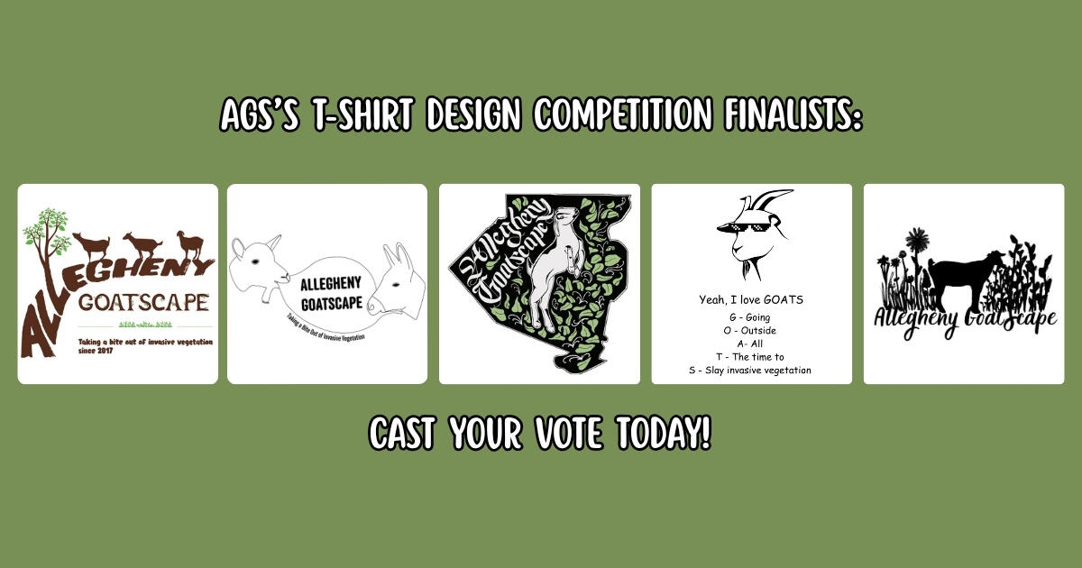 Campaign cover image for AGS's 10th Anniversary T-Shirt Design Competition!