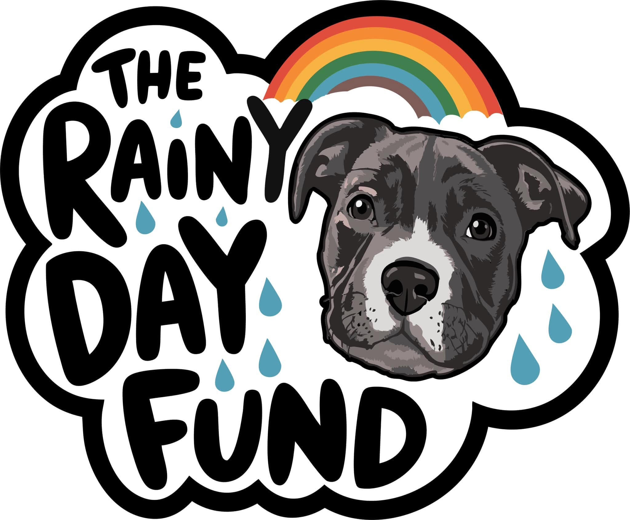 Campaign cover image for The Rainy Day Fund