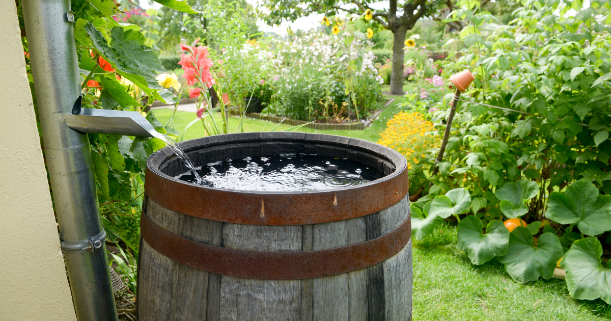 Campaign cover image for Rain Barrel Workshop 10-21-25
