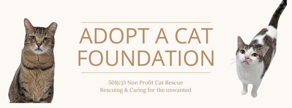 Campaign cover image for Adopt A Cat's Giving Tuesday Fundraiser!