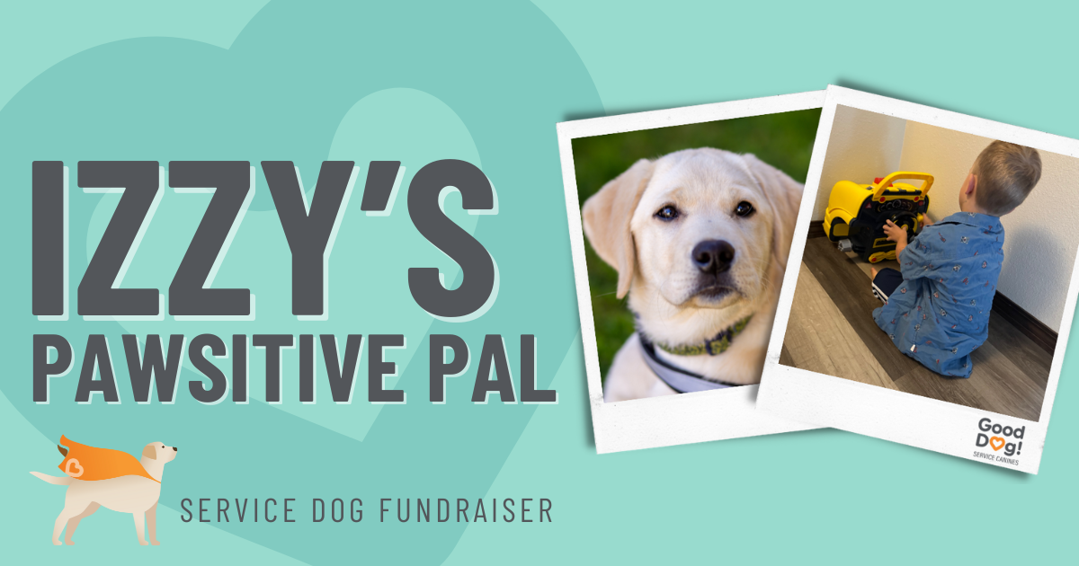 Campaign cover image for Izzy's Pawsitive Pal