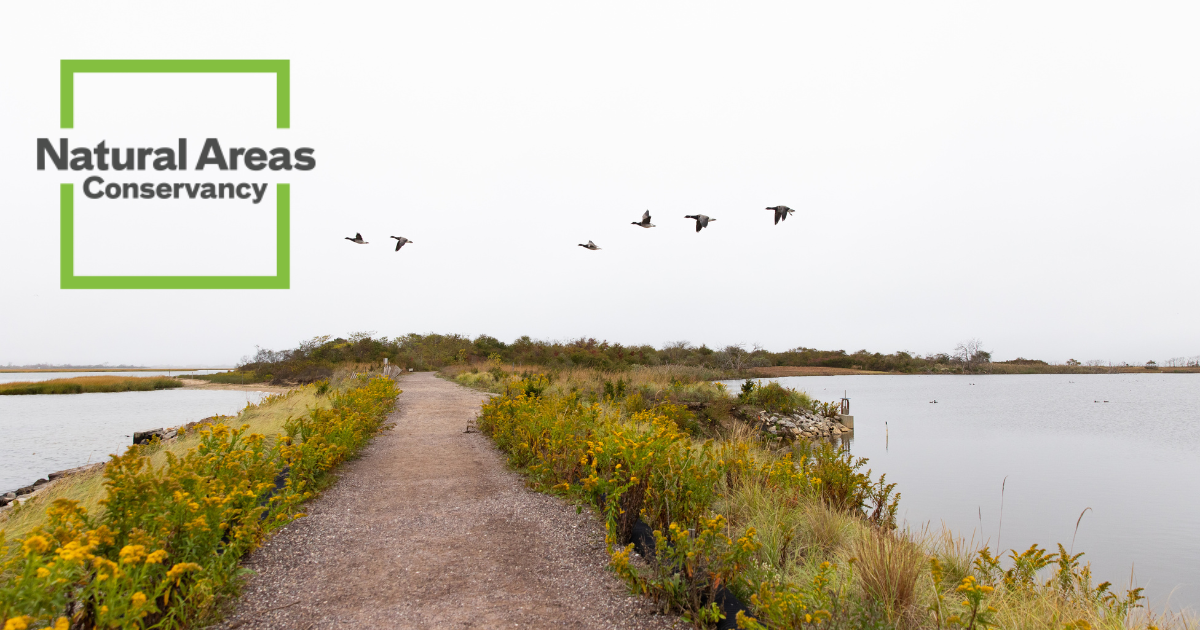 Campaign cover image for Night for Nature 2024