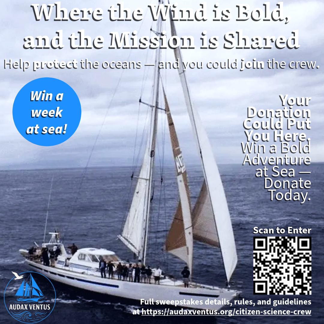 Campaign cover image for Audax Ventus General Donations