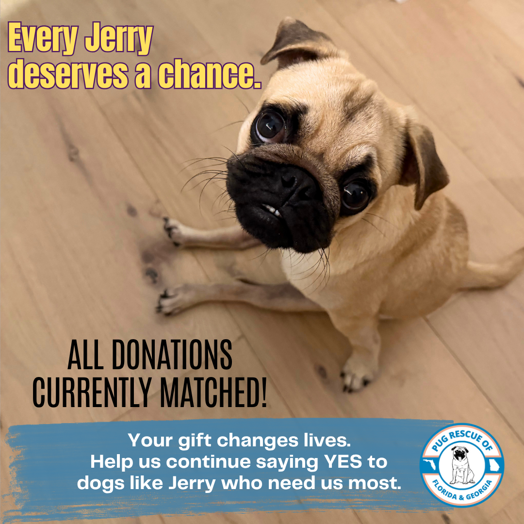 Campaign cover image for Help Us Keep Saying YES
