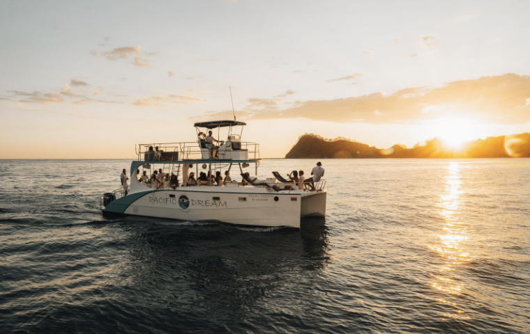 Campaign cover image for Whales, Dolphins & Ocean Wonders Boat Tour