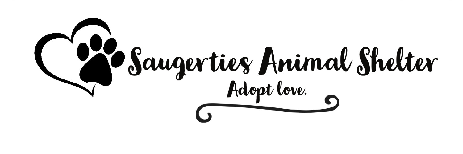 Campaign cover image for Capital Campaign Committee