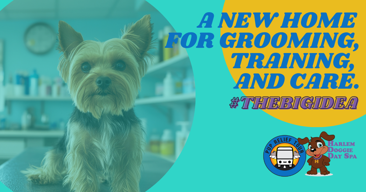 Campaign cover image for The Big Idea: Grooming a Better Future