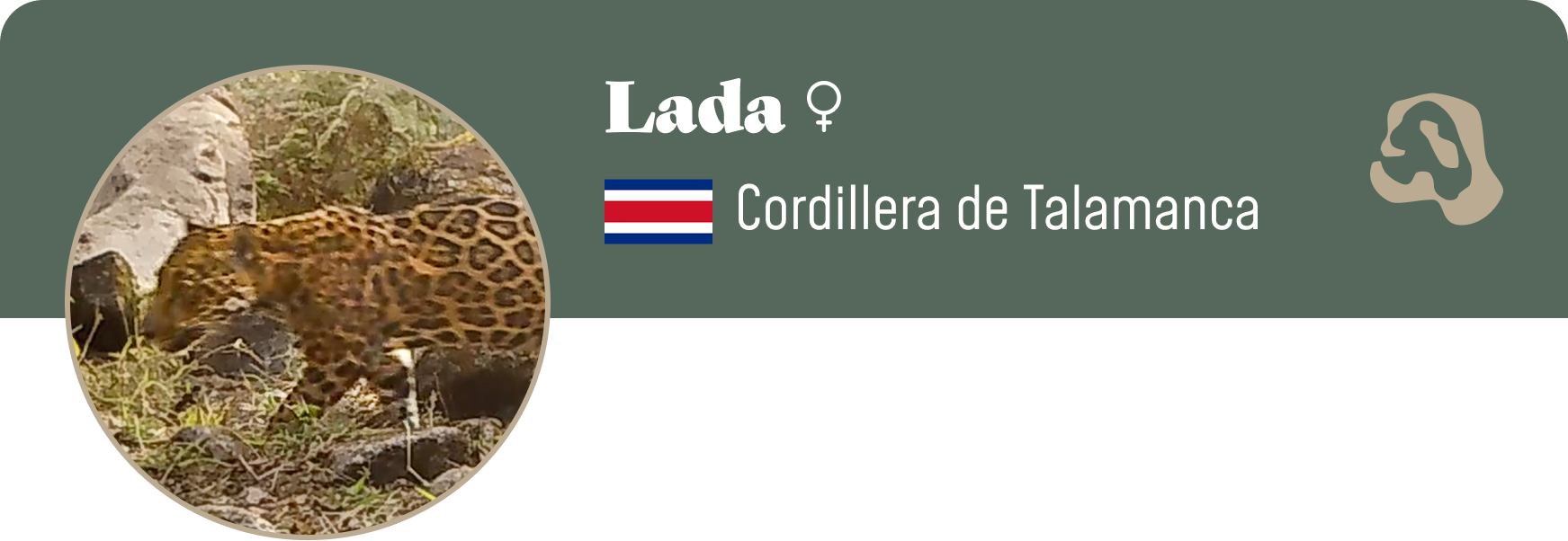 Campaign cover image for Adopt Lada