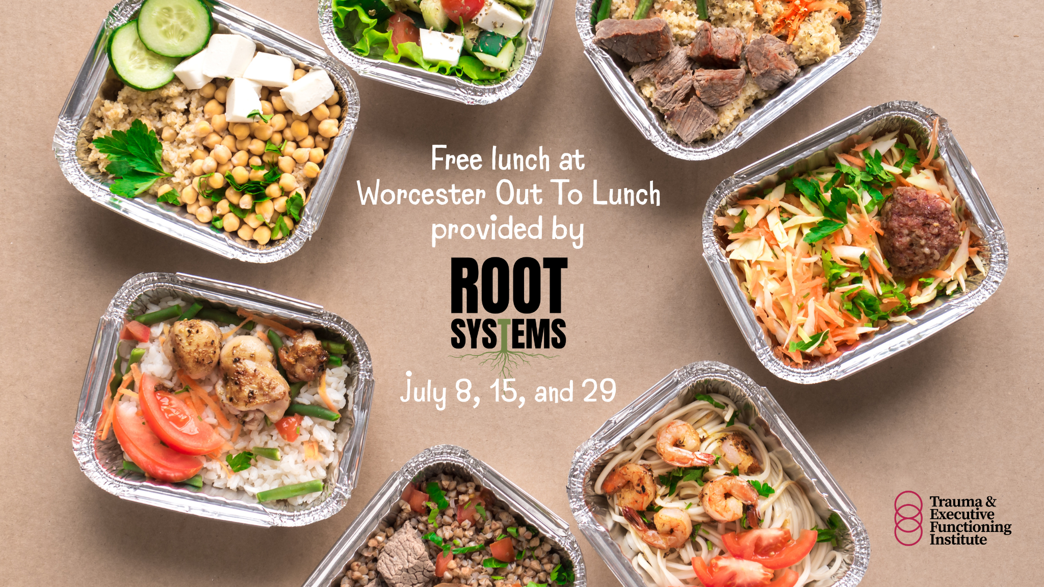 Campaign cover image for Root Systems: 1,000 free lunches for kids and families (and anyone else who needs one) this July