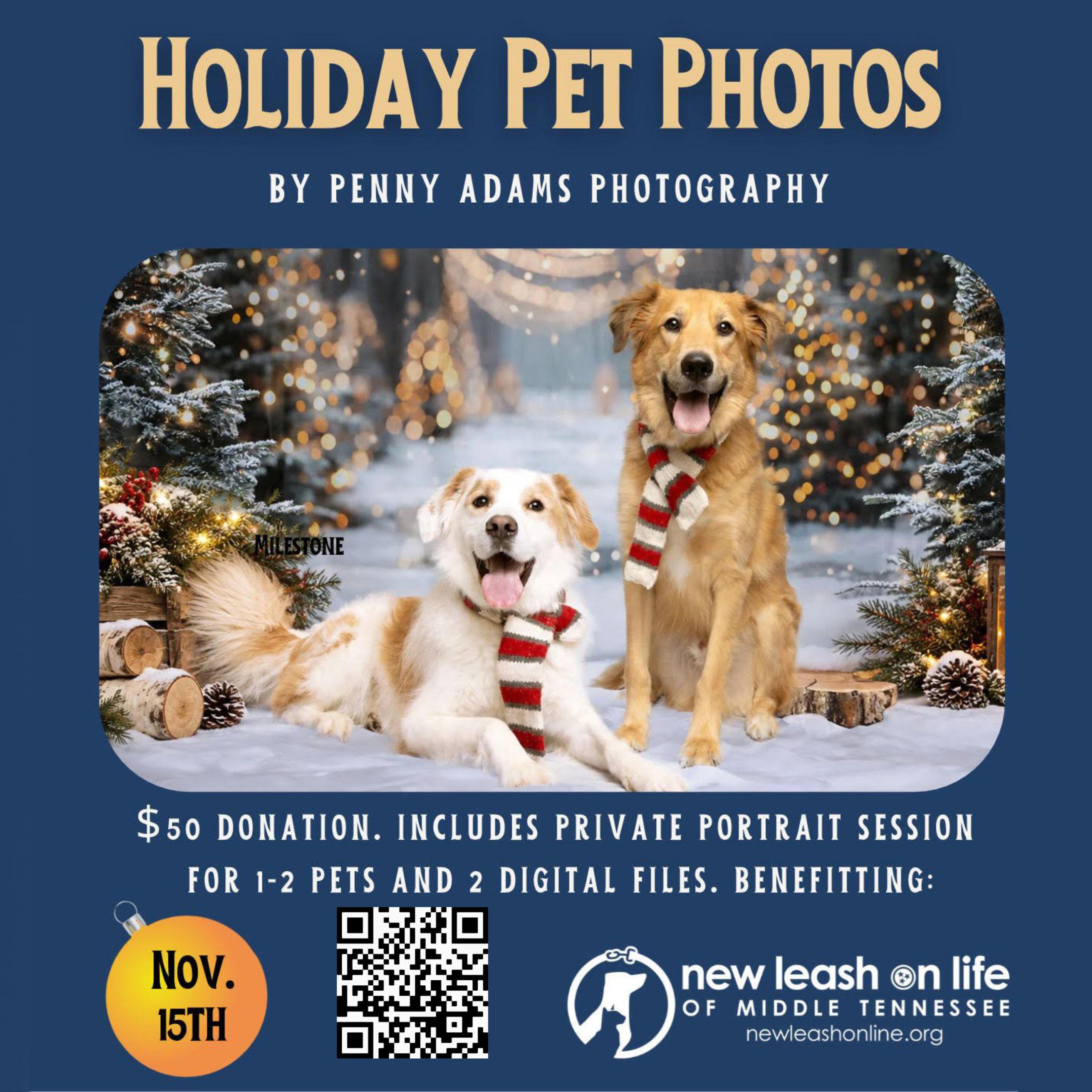 Campaign cover image for Holiday Photos with photographer Penny Adams (Sunday, November 15, 2026)